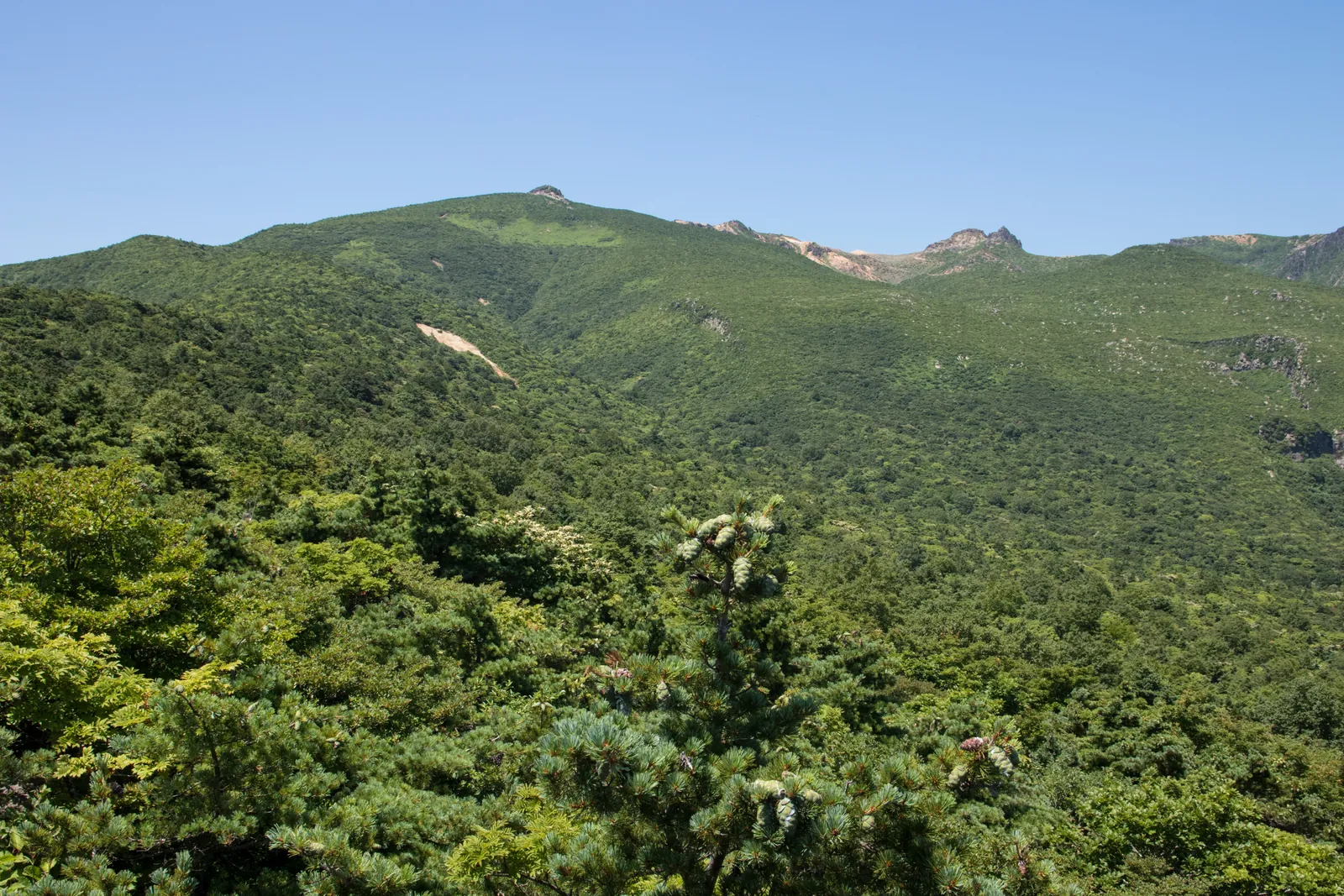 山頂付近から見下ろす安達太良山の斜面と遠景