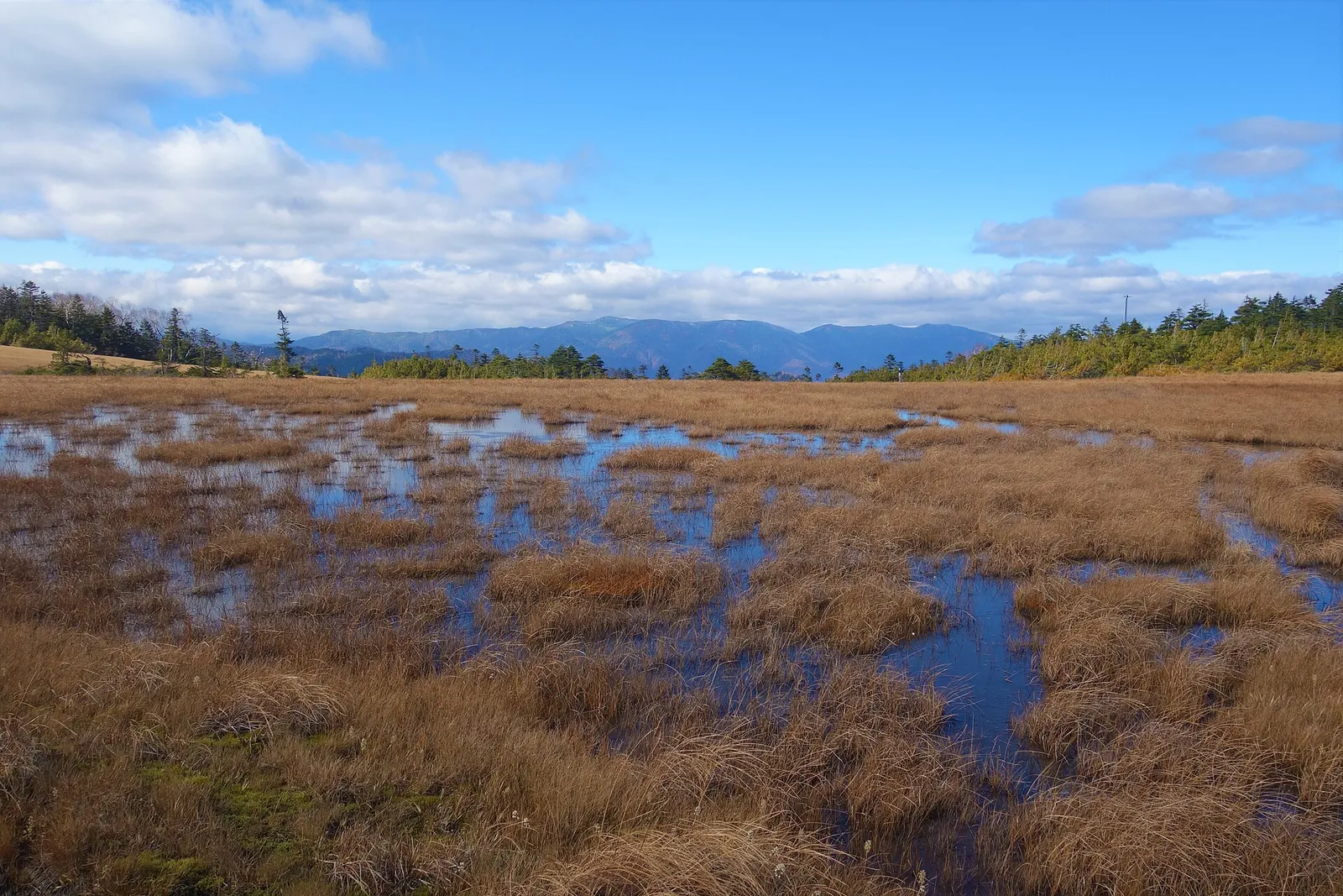 田代山の草紅葉の湿原の向こうに見える、なだらかな会津駒ヶ岳の山並み