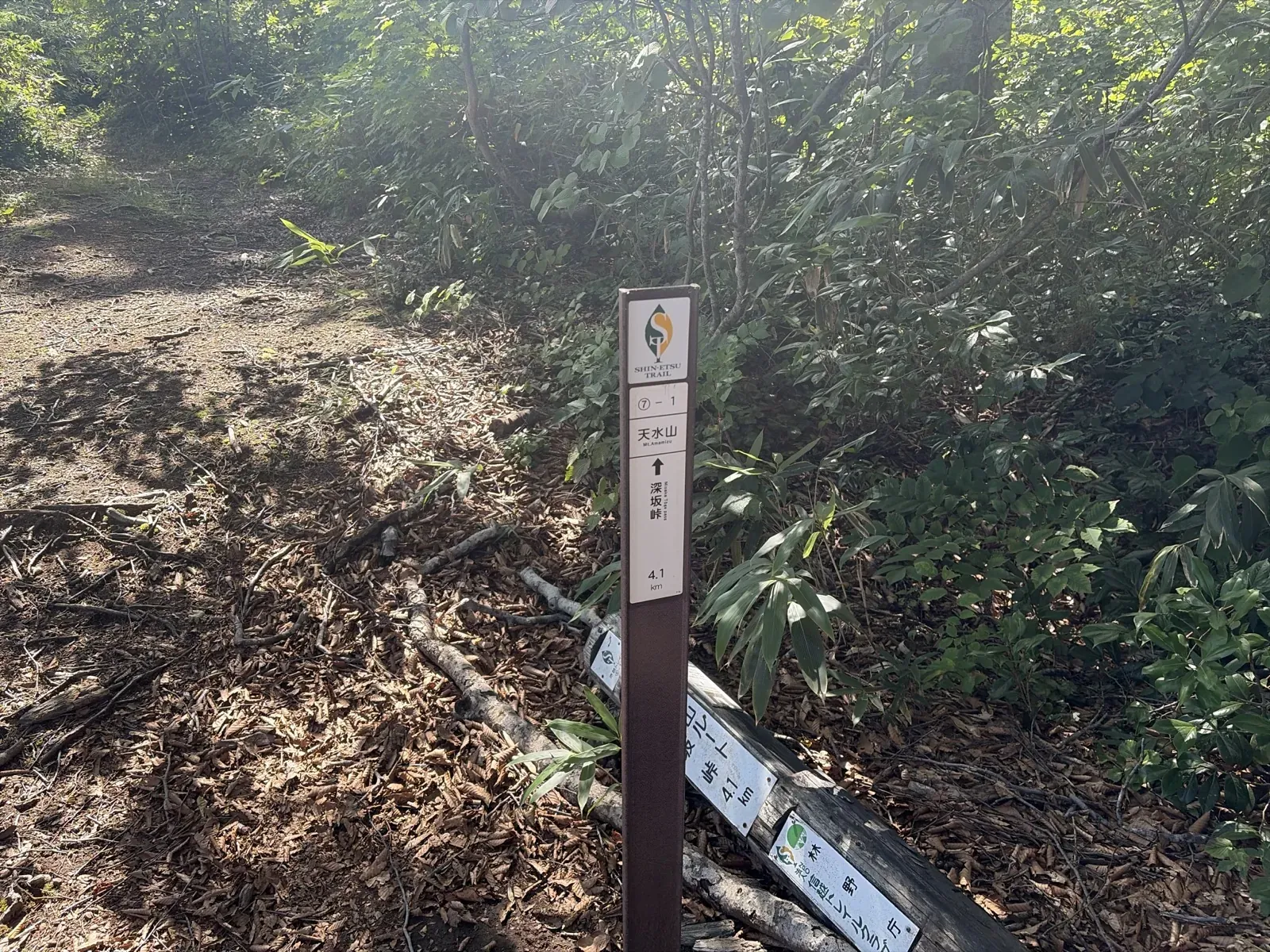 天水山の山頂に立つ信越トレイルの道標。「⑦-1 天水山 Mt.Amamizu」「↑深坂峠 4.1km」と書かれている。足元は落ち葉に覆われた道で、まわりは笹や広葉樹の茂み