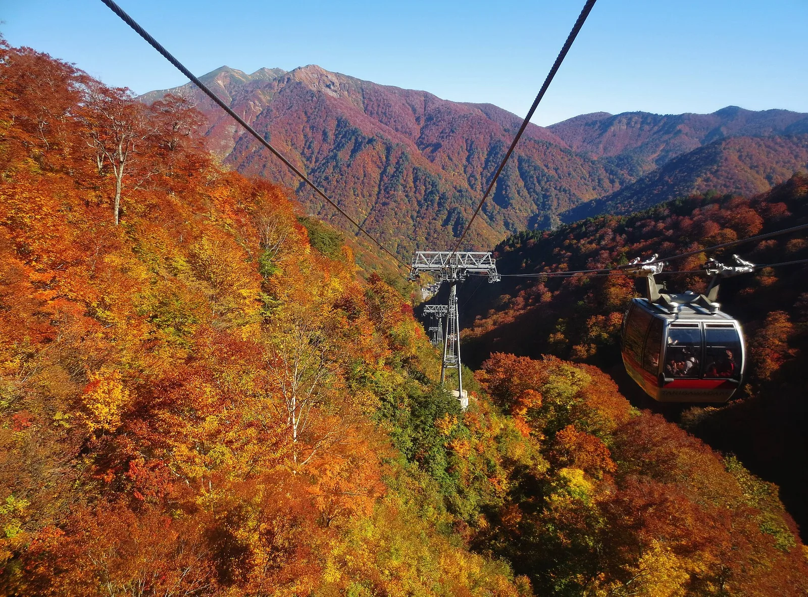 山腹を登るロープウェイのゴンドラと駅舎