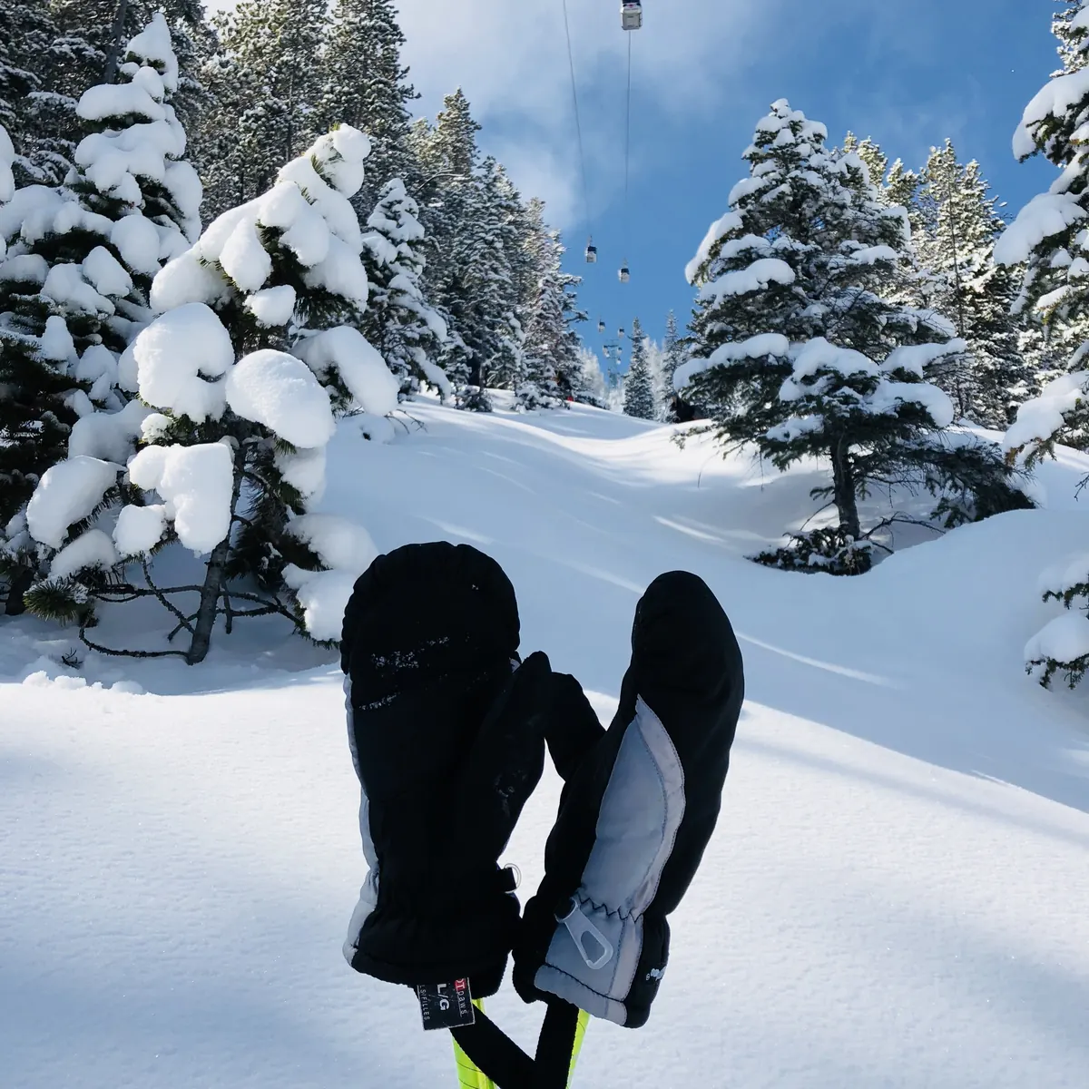 雪をかぶった針葉樹を背景に、トレッキングポールの持ち手に黒いミトンが掛けてある