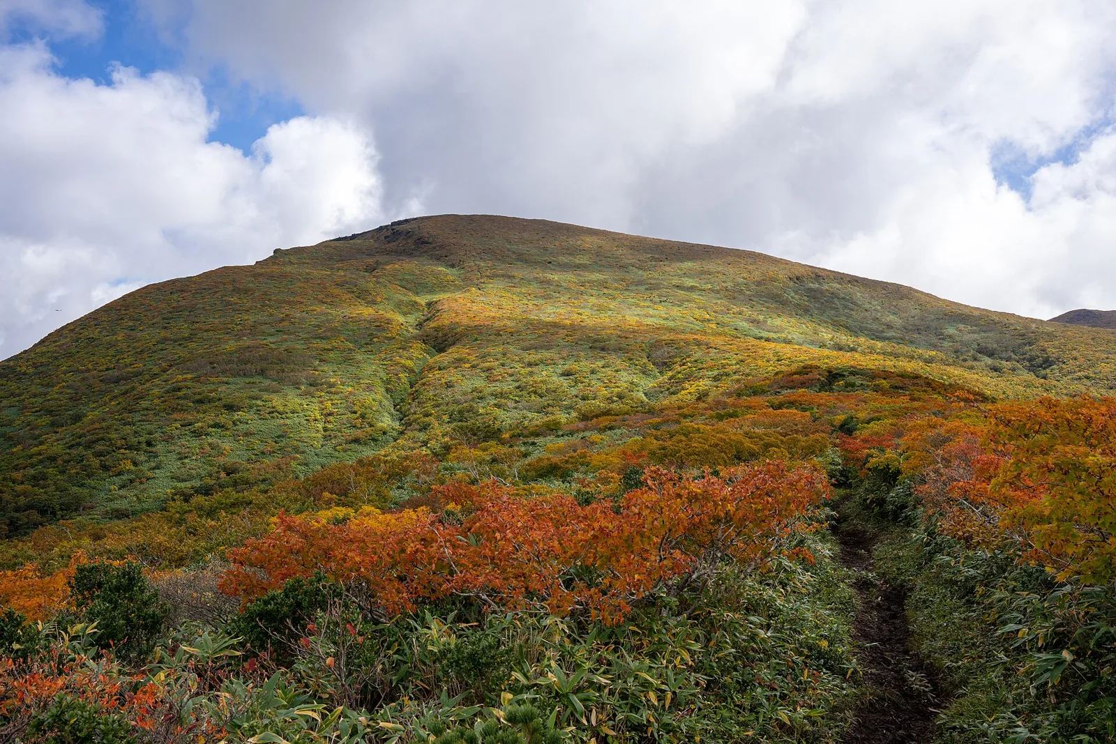赤や黄色に紅葉した低木の間を登山道が続き、その先に草紅葉に覆われた栗駒山の山頂部が見える