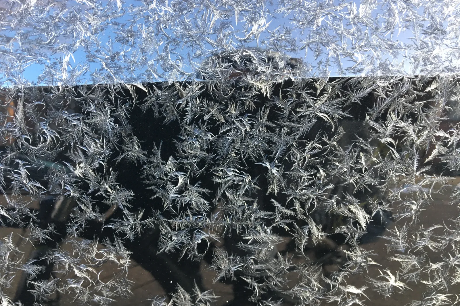 早朝の霜で車の窓ガラスの表面に、羽根のような形の氷の結晶がびっしりと広がっている