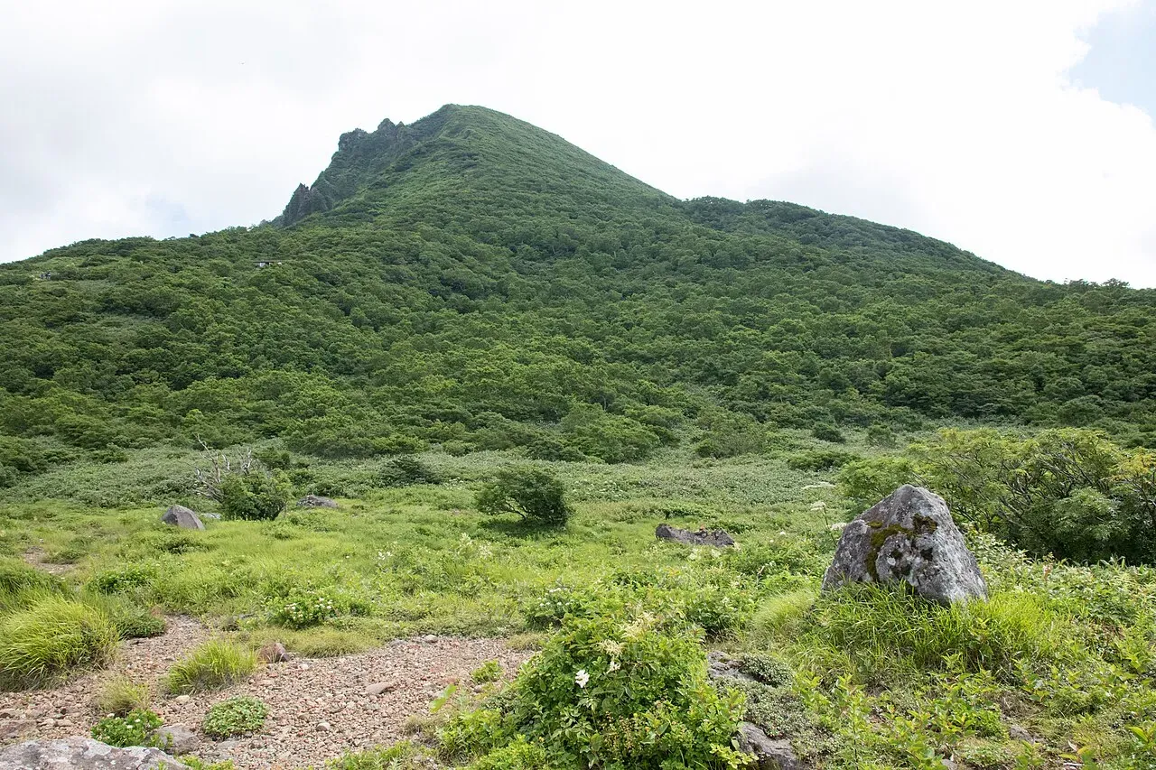 緑に覆われた磐梯山の山頂部と手前の草地