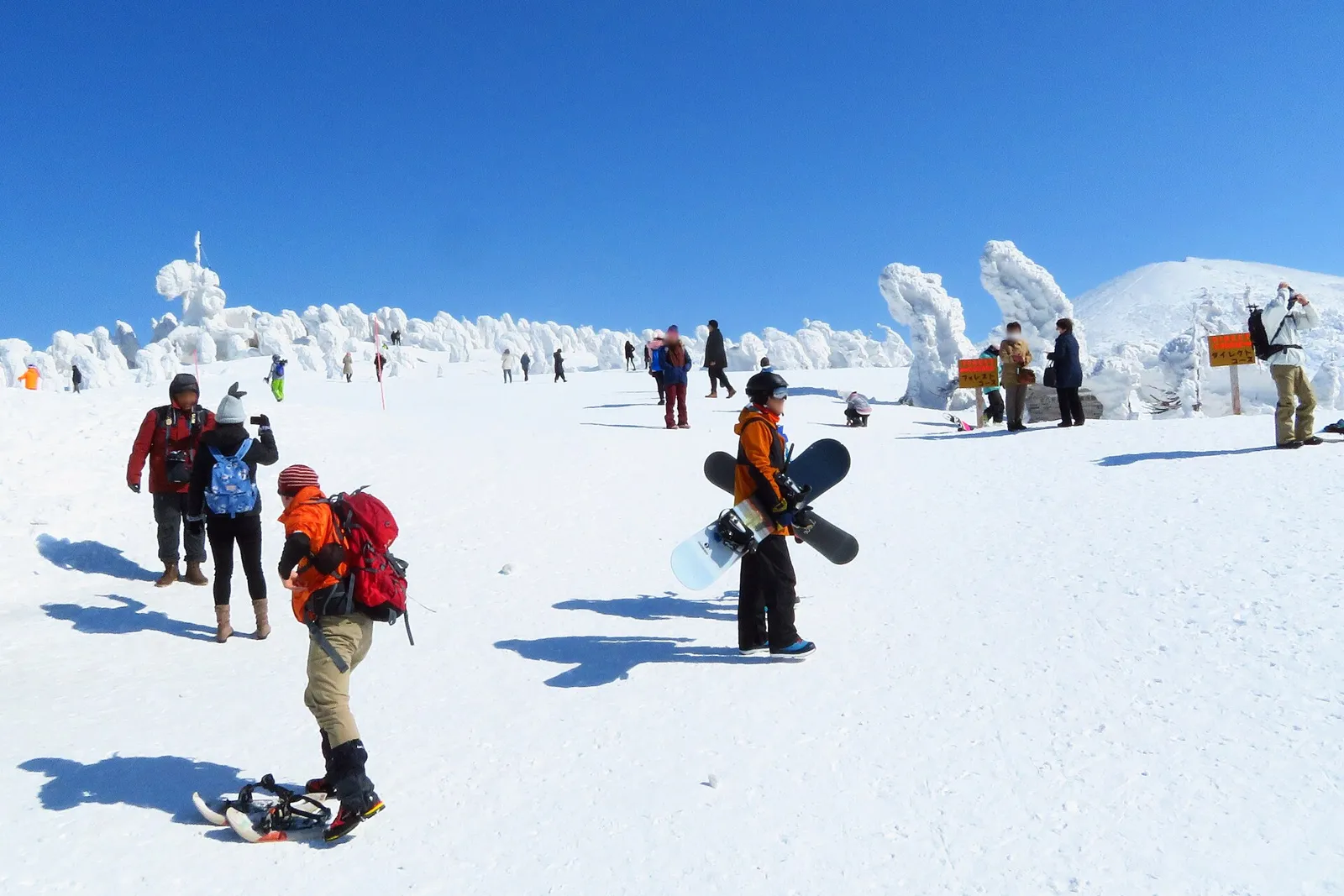 3月の八甲田ロープウェー山頂駅付近。雪原と樹氷の中にスキーヤーや登山者がいる