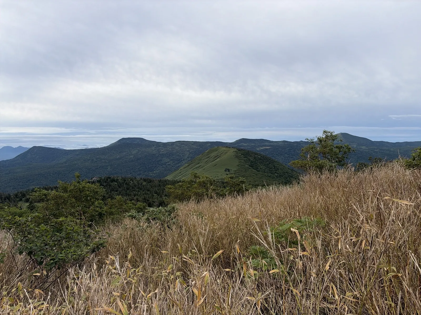 手前の枯れ草と低木の向こうに、緑の山並みが重なって見える。空は雲に覆われている