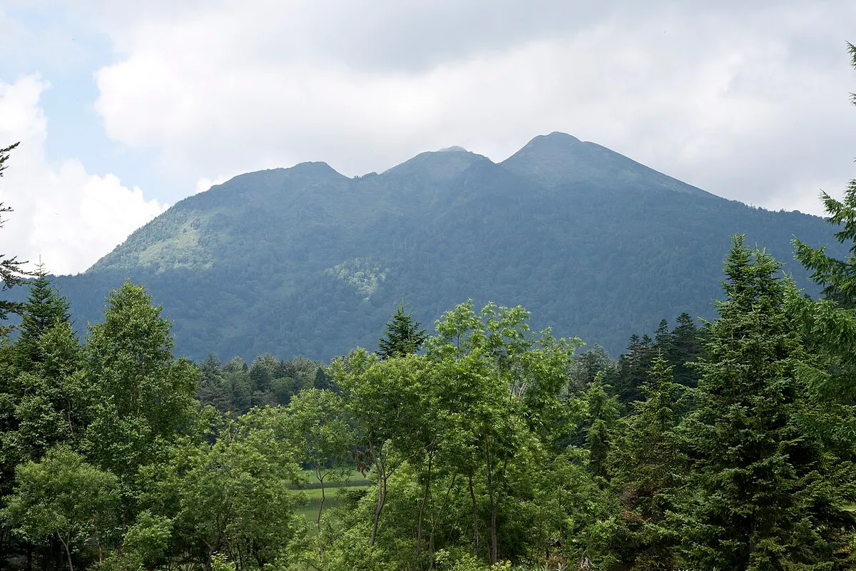 樹林の向こうに見える燧ヶ岳の二つの頂