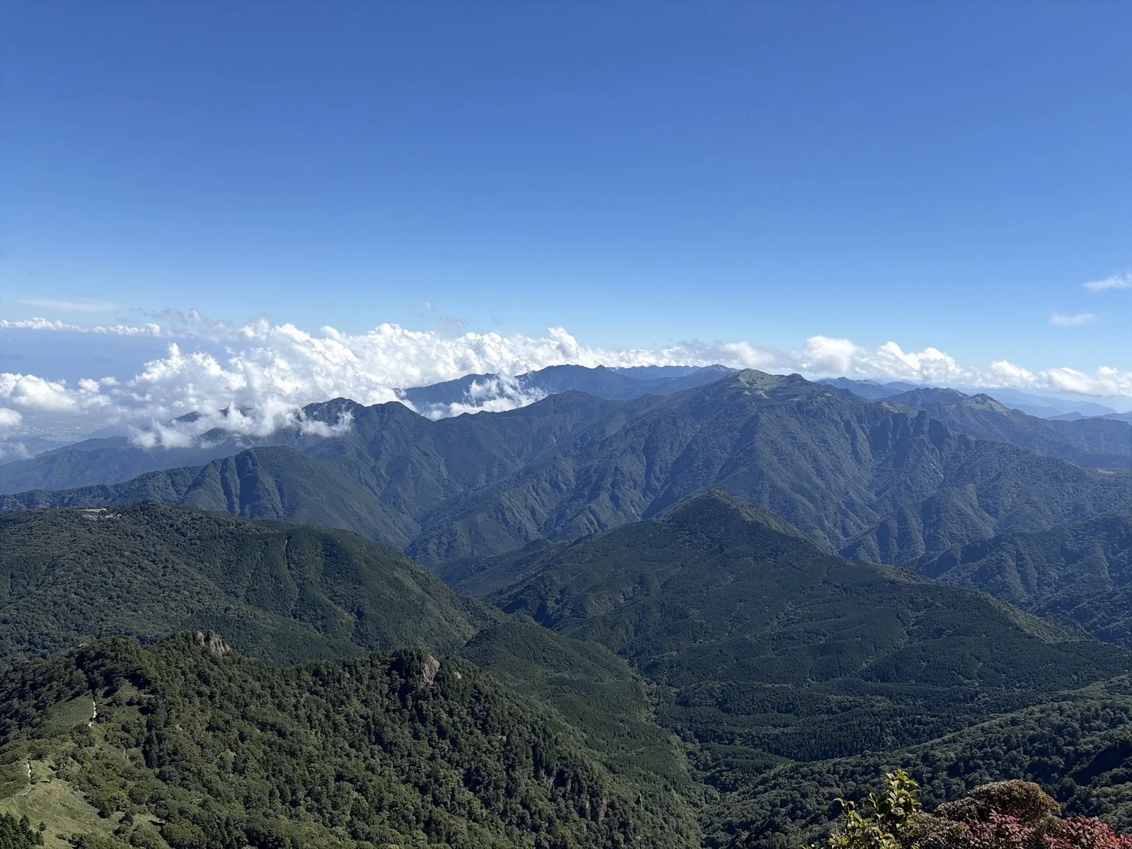 天狗岳〜南尖峰付近から見下ろす、四国山地の深く切れ込んだV字谷と幾重にも重なる山並み