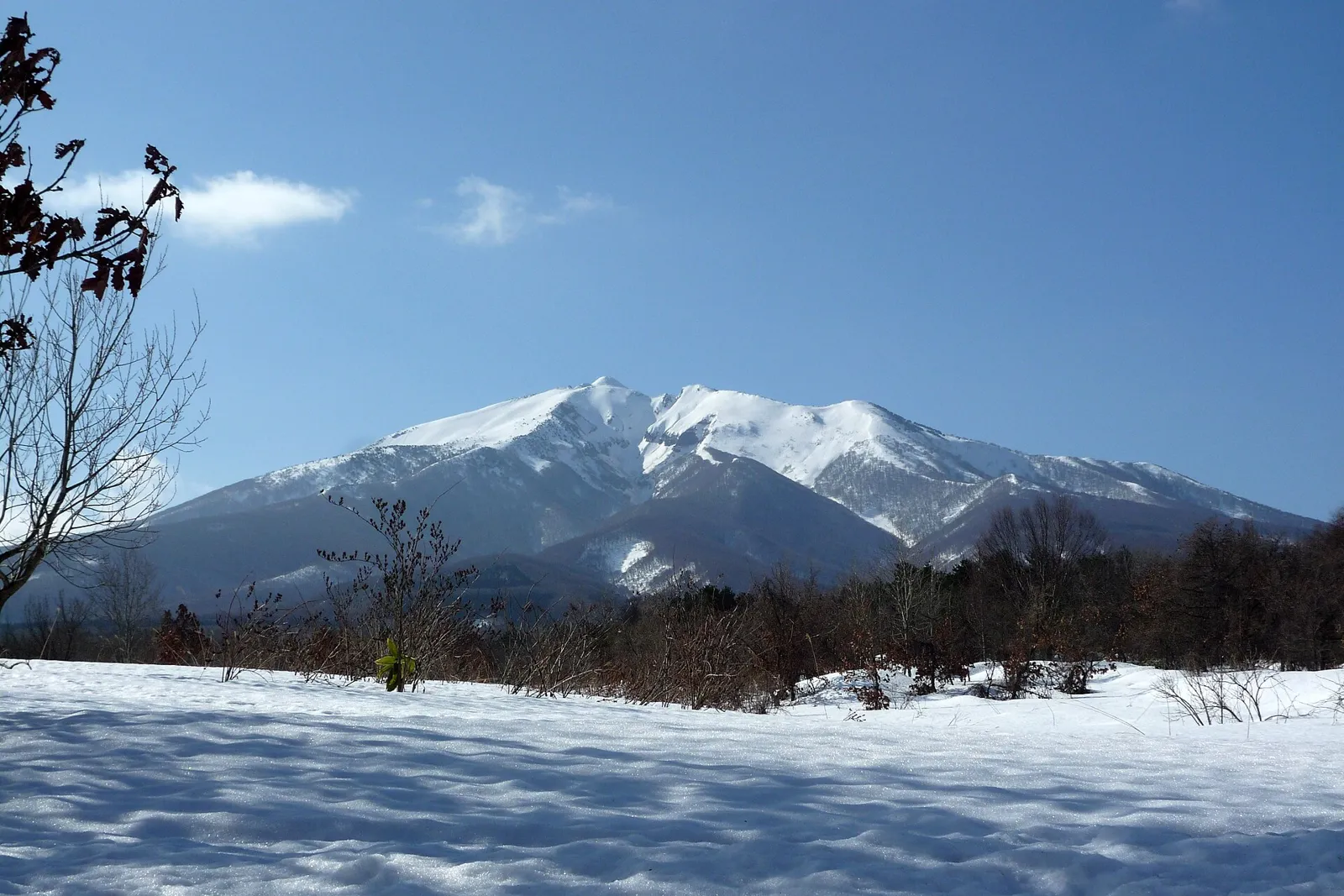 雪原の向こうにそびえる、真っ白に雪をかぶった岩木山