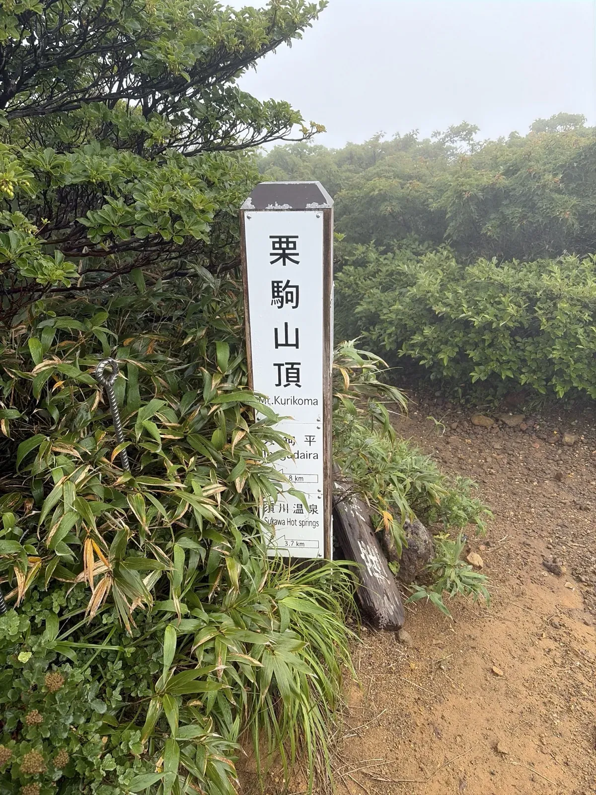 笹や低木の横に立つ白い「栗駒山頂」の標識