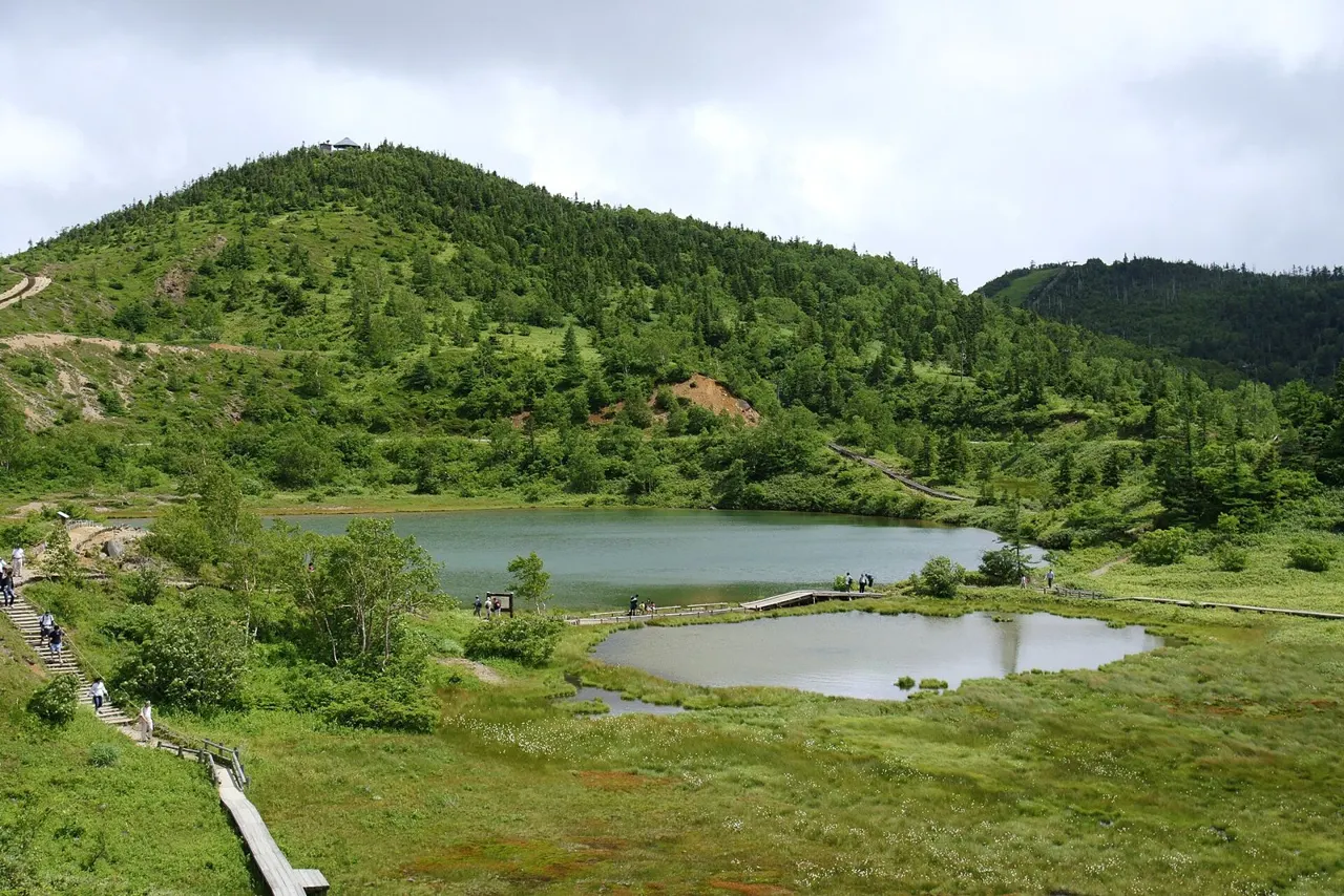 緑の草原に広がる二つの池と木道、その奥に木々に覆われた丸い山