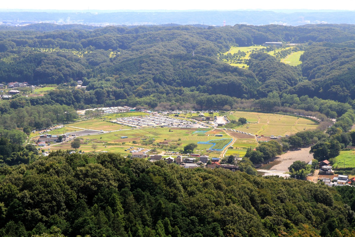 物見山・日和田山 登山ガイド｜初心者向け関東日帰りハイキングコースを徹底解説