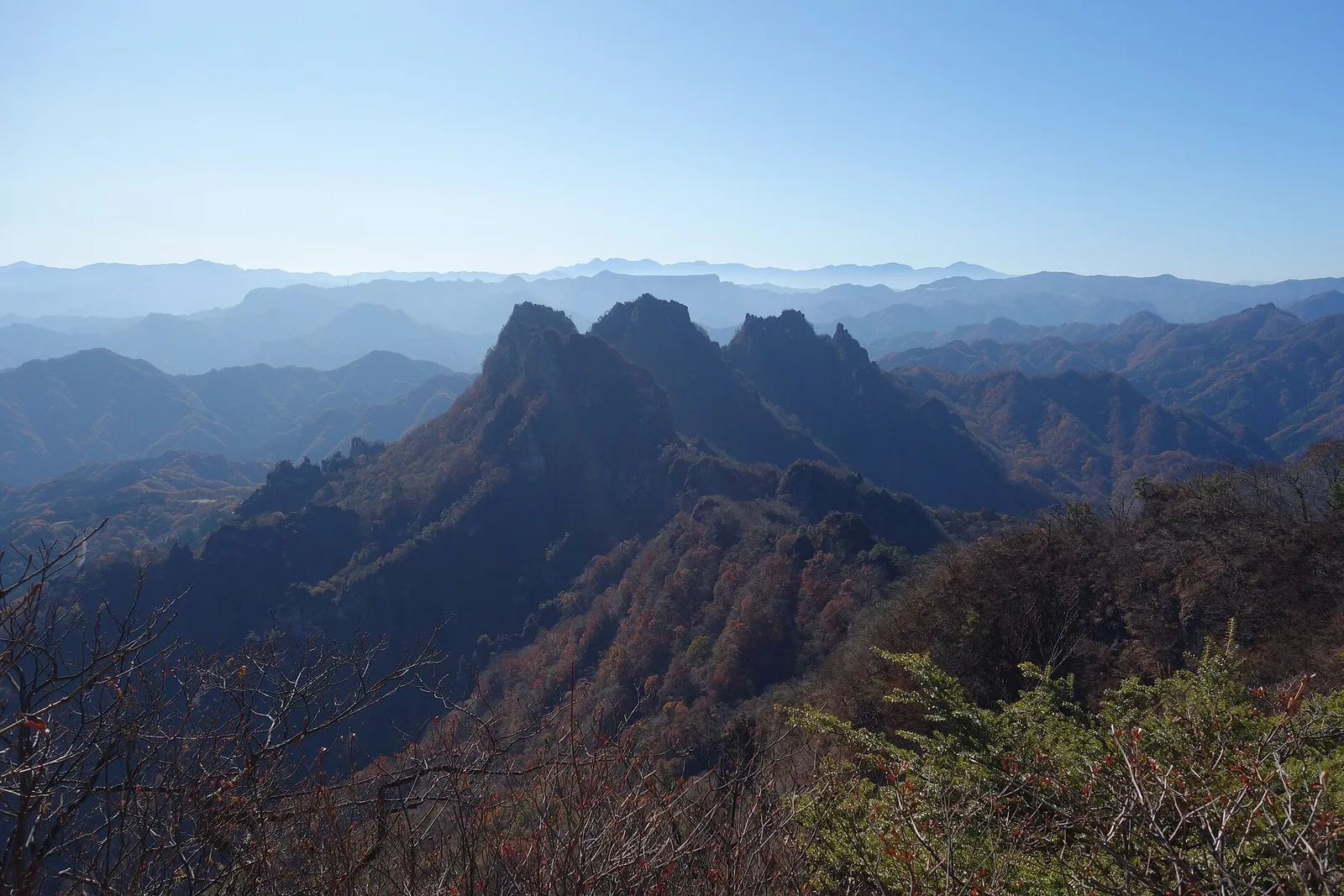 紅葉の尾根の向こうに、鋭くとがった岩峰が連なる金洞山