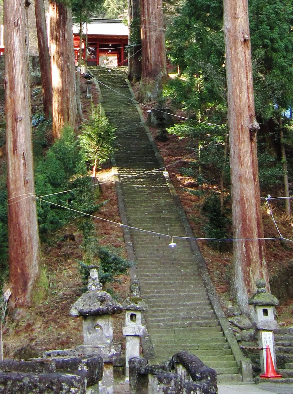 杉の大木に挟まれた長い石段と、その上に見える朱色の門