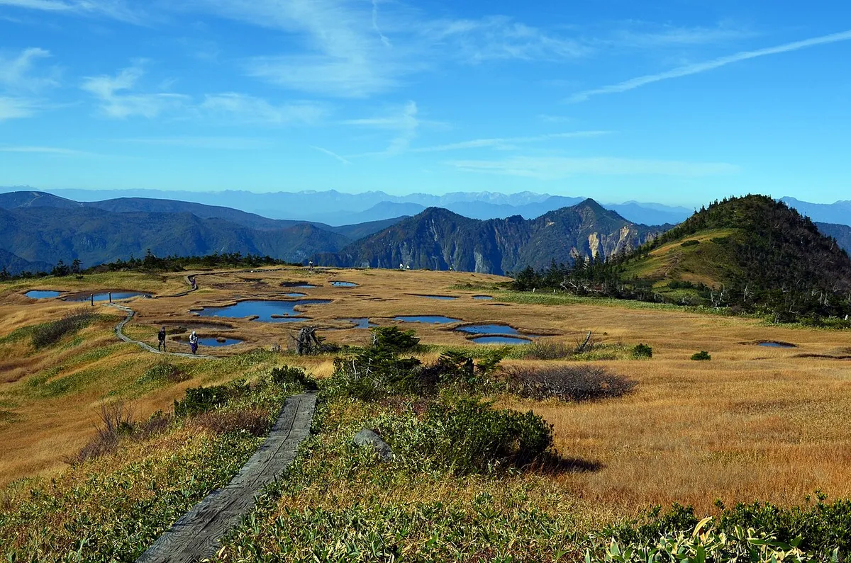 晩秋の苗場山の湿原と木道