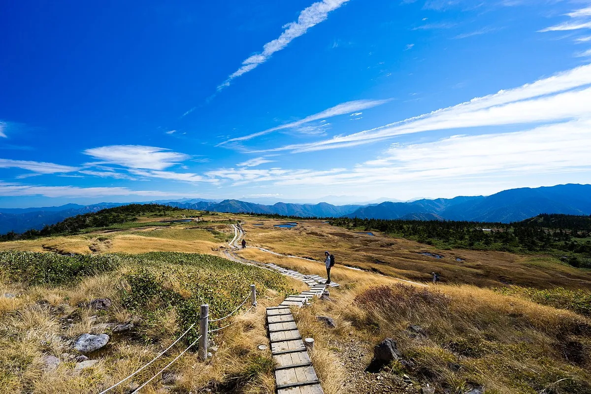 青空の下の苗場山の山頂台地と木道
