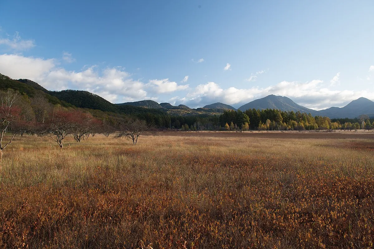 草紅葉の小田代原と周囲の山並み