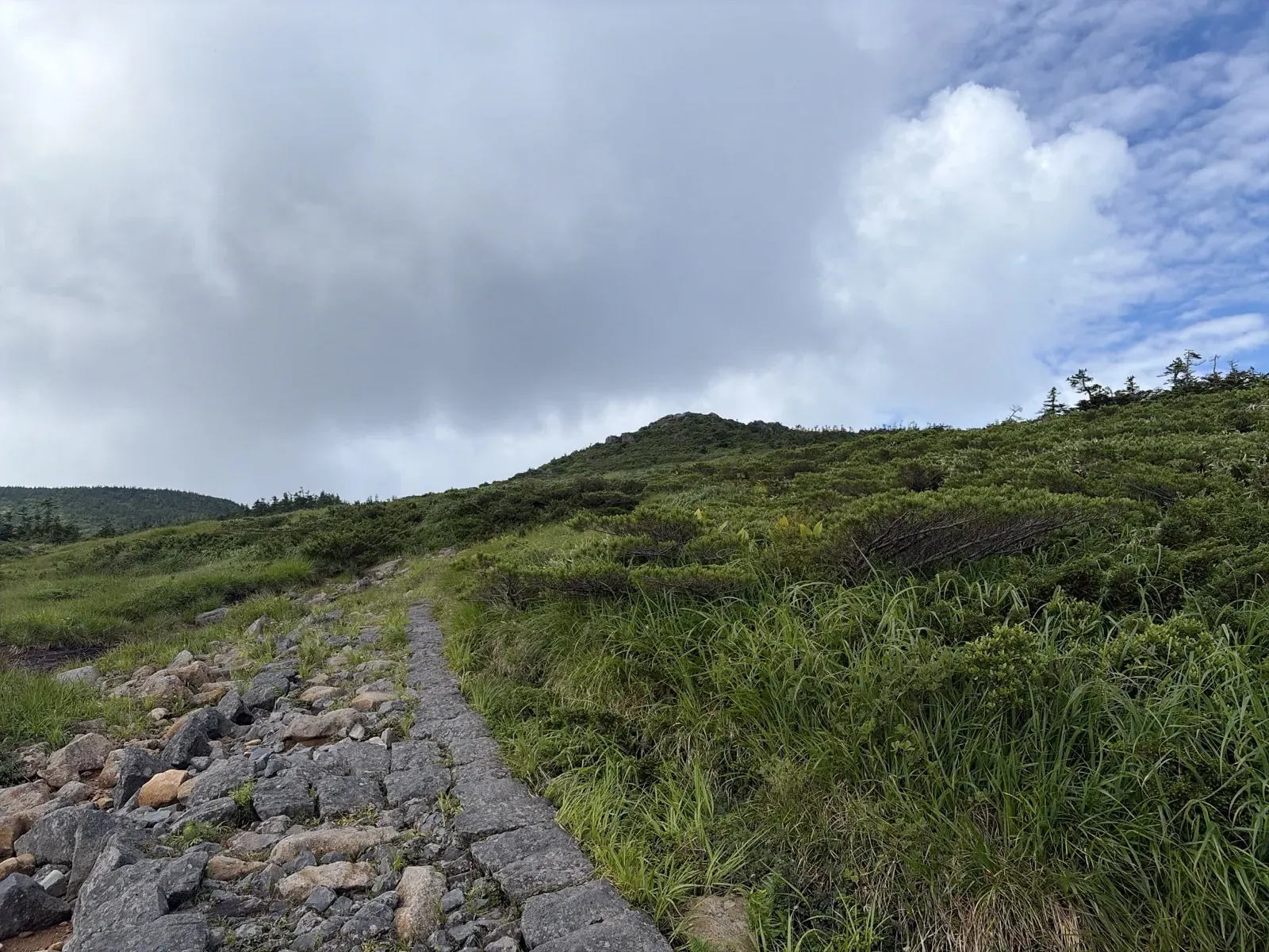 草原の斜面を、石が敷かれた登山道が登っていく様子。空には雲が広がっている