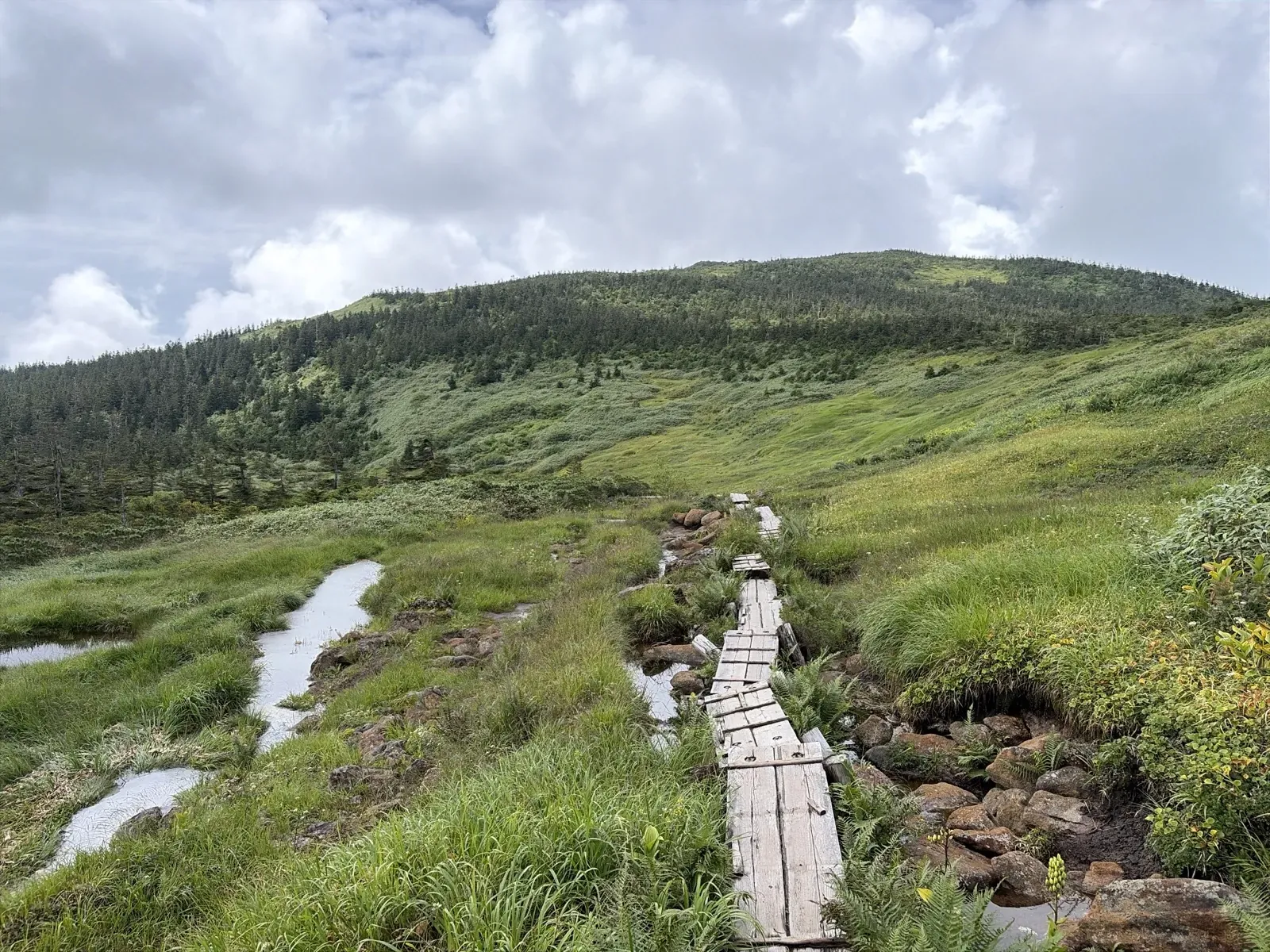 草原の中に小さな池が点在し、その横を木道が奥の山へ向かって続いている湿原