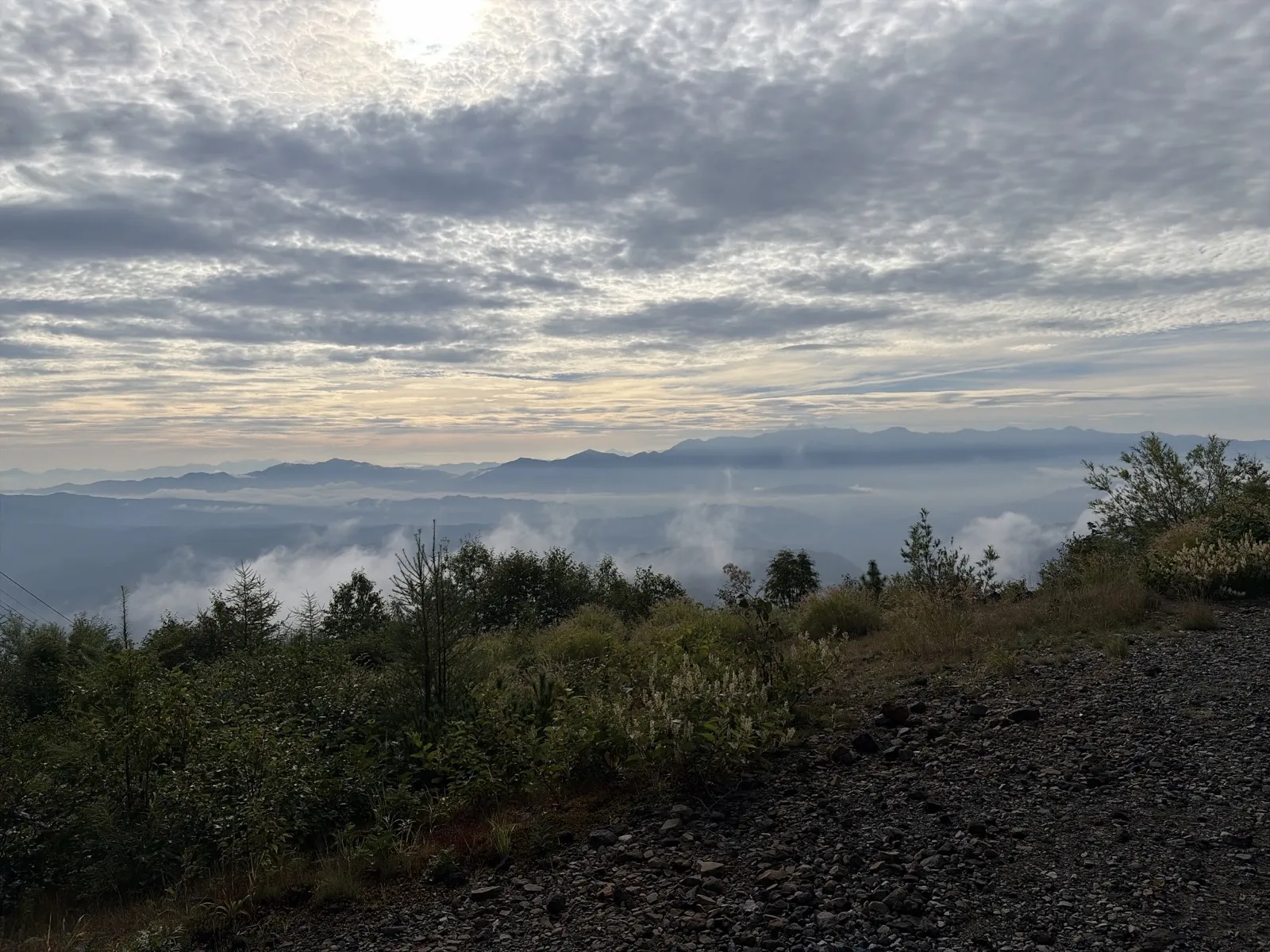 手前の低木の向こうに雲海が広がり、遠くに山並みが浮かんでいる