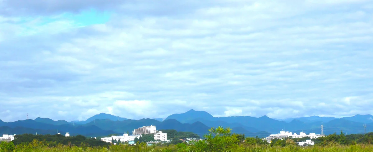 大岳山 登山ガイド｜御岳山から歩く奥多摩の展望峰・ロックガーデンと富士山の絶景