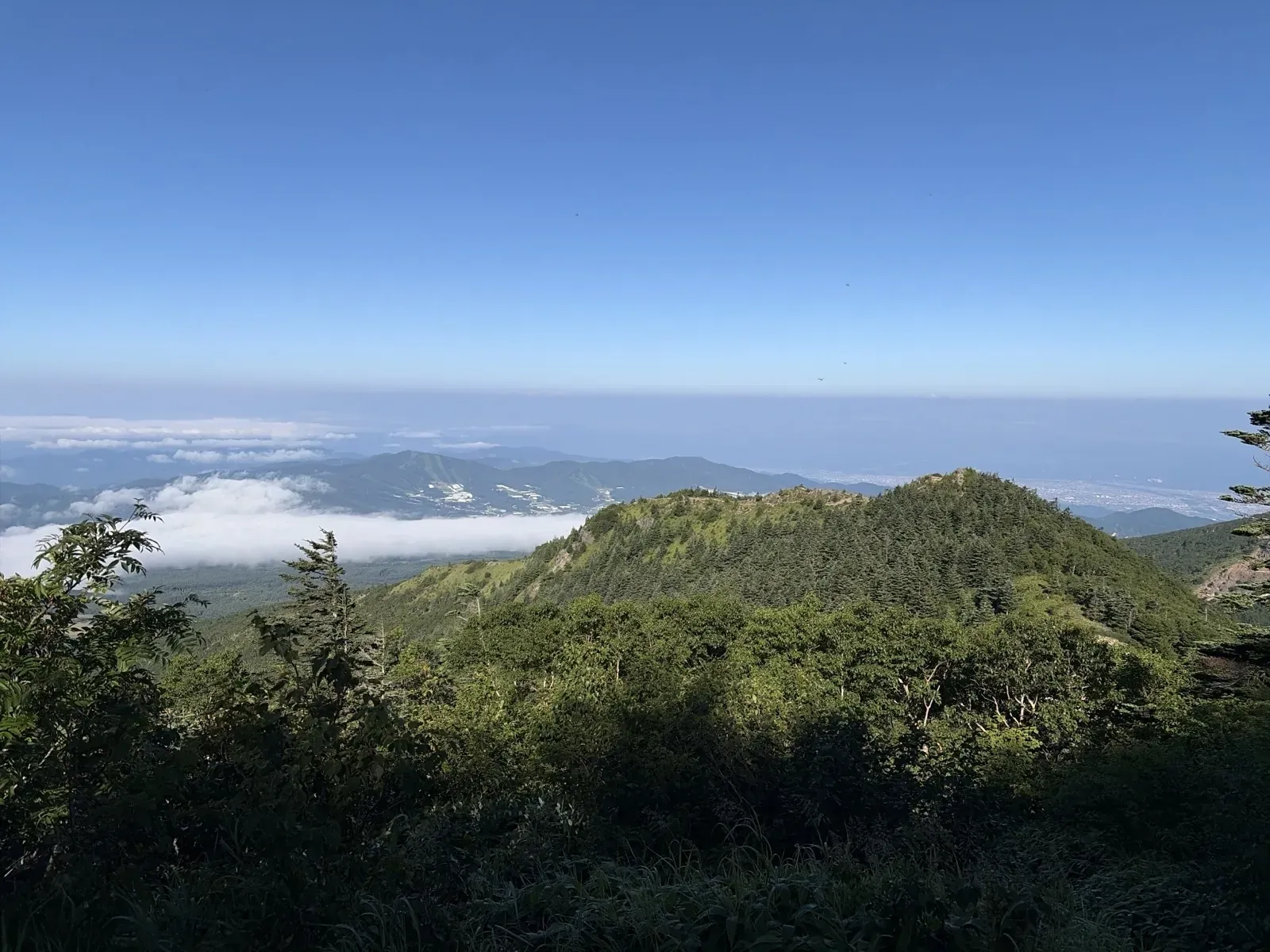 中四阿を過ぎたあたりから見た、緑の山と遠くの雲海