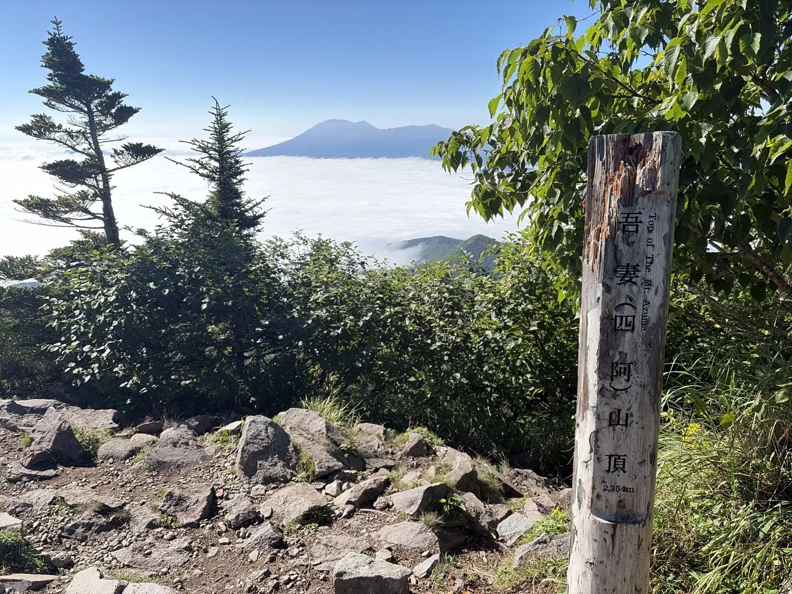 四阿山の山頂に立つ「吾妻（四阿）山頂 2,354m」の木の標柱と、背後の雲海