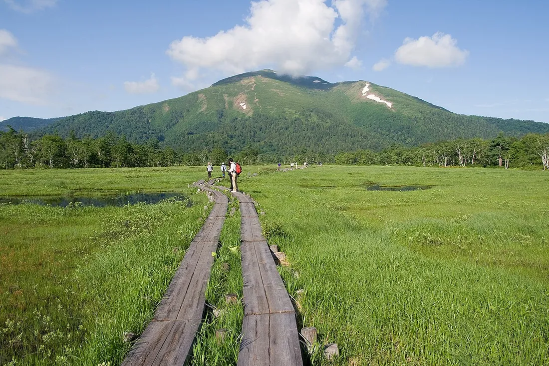 木道が続く湿原と奥にそびえる至仏山