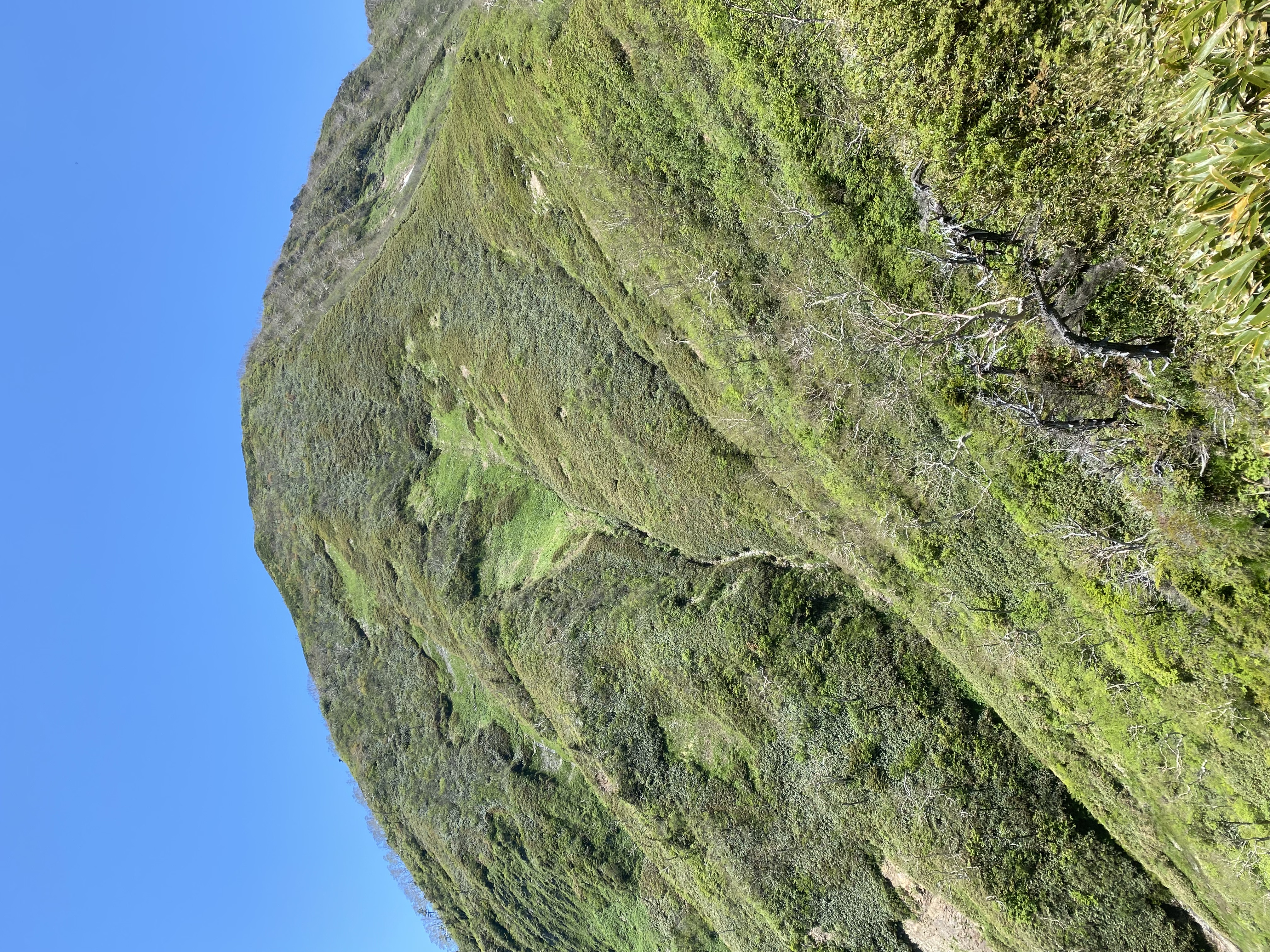 高妻山登山ガイド｜関東から日帰りで歩く百名山・戸隠牧場から一不動・弥勒尾根コースを解説