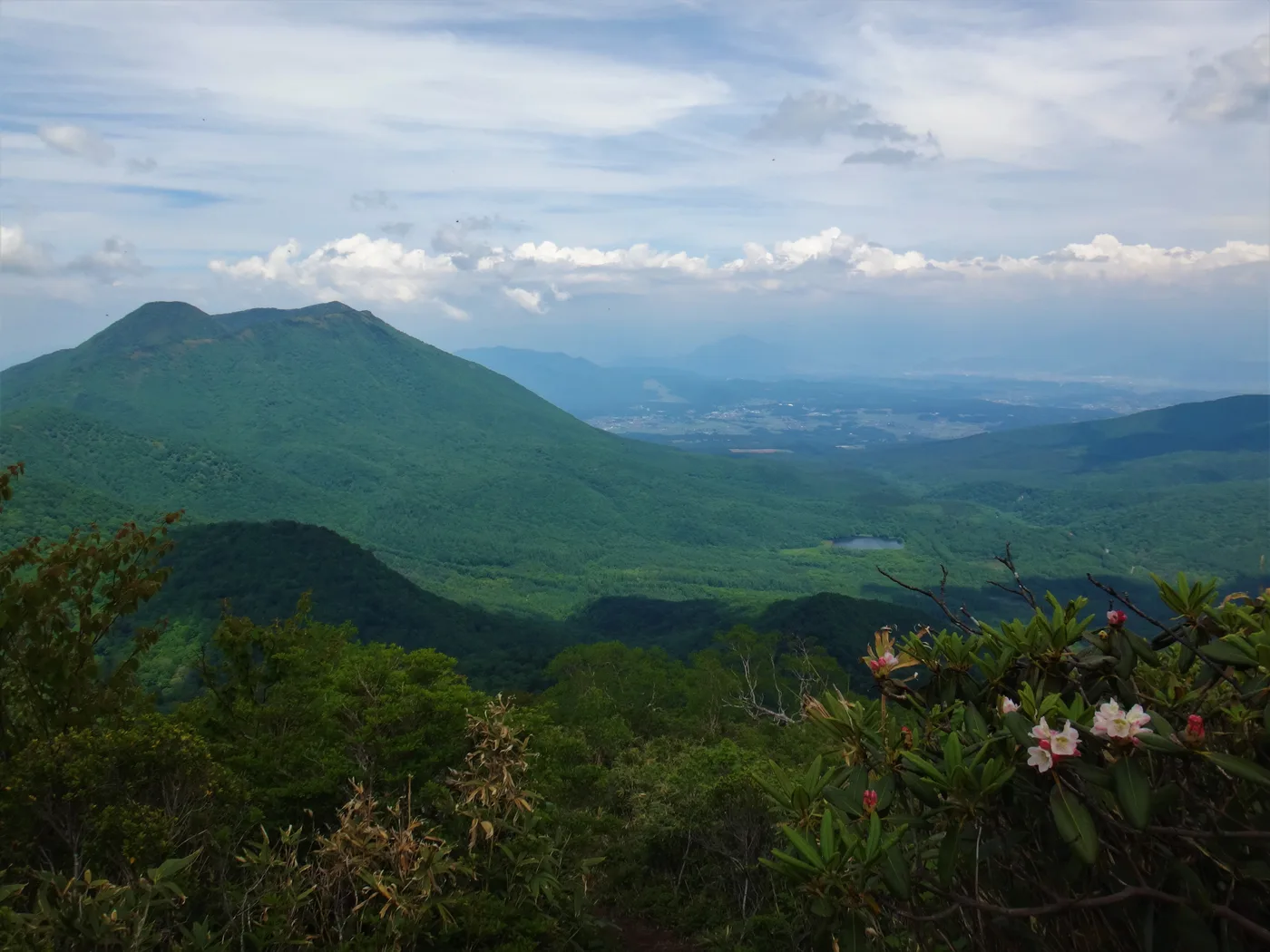 弥勒尾根の樹林越しに、裾野を広げた黒姫山と遠くの山並みが見える