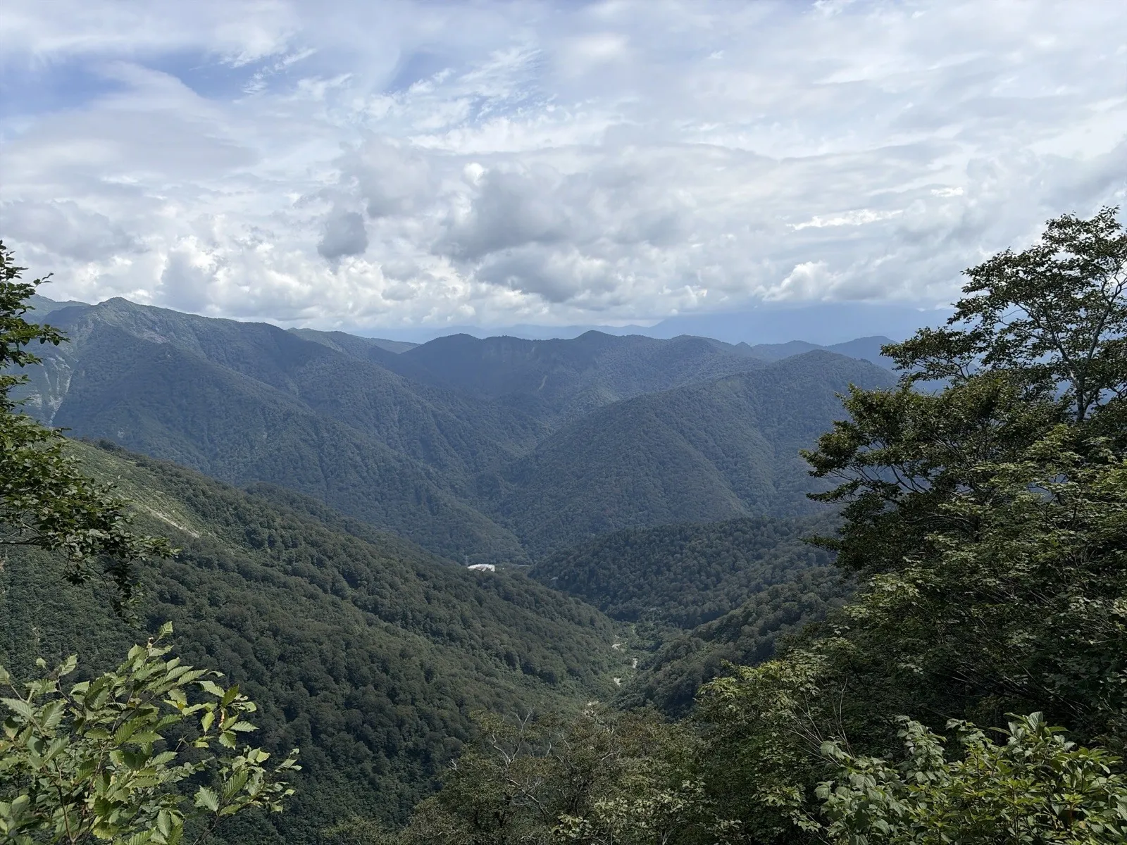 木々の間から見下ろす、緑の森に覆われた深い谷と山並み。空には白い雲が広がっている