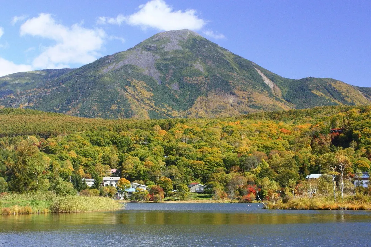 茅野市北山側から見上げた蓼科山の全景。裾野のカラマツ林の上に丸みを帯びたドーム状の山頂部がそびえる